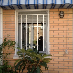 Reja-fija